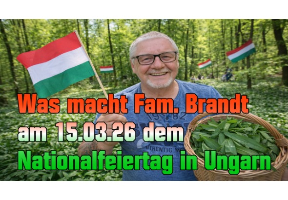 thumbnail_590