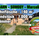 thumbnail_590
