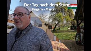 mqdefault (1)