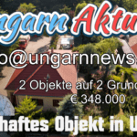 #Ungarn 🌶️ 2 #Topgepflege #Immobilien am #Balaton 🌶️ #Szőkedencs im #Komitat #Somogy 🌶️ 🇭🇺 Ungarn