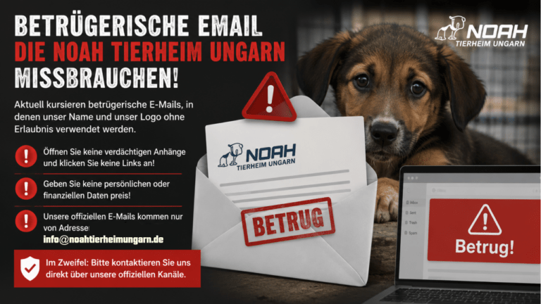 Betrügerische E-MAILS/Webseite die Noah Tierheim Ungarn missbrauchen und abzocken. 🌶️ 🇭🇺 Ungarn